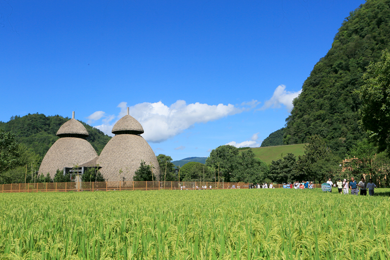 張家界黃龍洞：農(nóng)旅融合生態(tài)美，田園風(fēng)光引客來