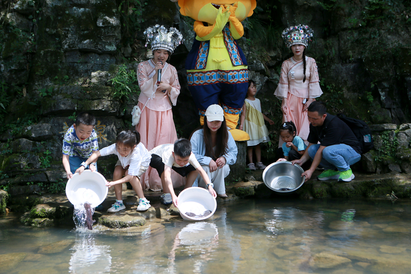 人工增殖放流百余尾幼苗，張家界黃龍洞“大鯢家園”再添新丁